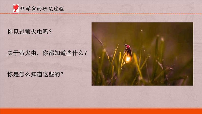 小学科学苏教版五年级下册专项学习《像科学家那样》课件(2022新版)第8页