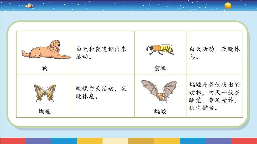 蘇教版五下科學(xué)3.11《晝夜對動物的影響》授課課件第3頁