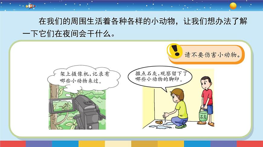 蘇教版五下科學(xué)3.11《晝夜對動物的影響》授課課件第6頁