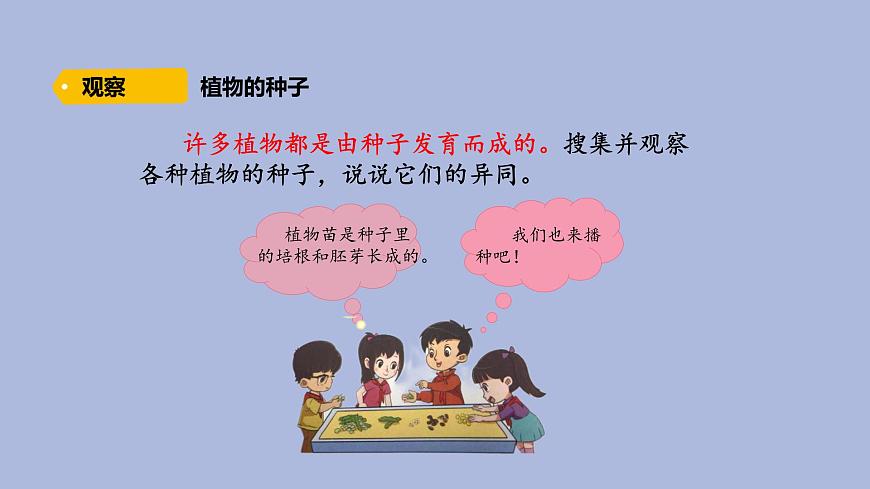 3-2 播下希望的種子三年級科學(xué)下冊 大象版課件第2頁