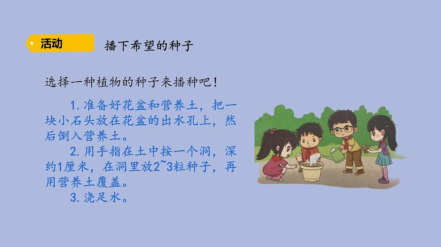 3-2 播下希望的種子三年級科學(xué)下冊 大象版課件第5頁