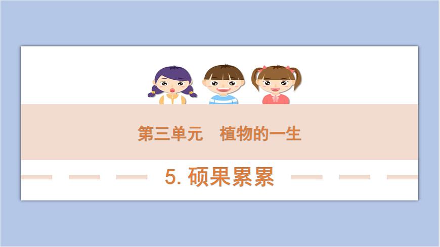 3-5 碩果累累三年級科學下冊 大象版課件第1頁