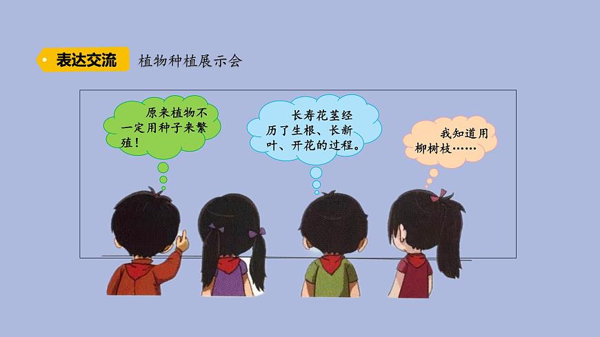 3-6 植物種植展示會(huì)三年級(jí)科學(xué)下冊(cè) 大象版課件第7頁(yè)