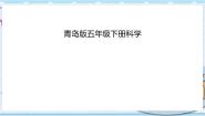 小学科学青岛版 (六三制2017)五年级下册3 保护脑授课ppt课件
