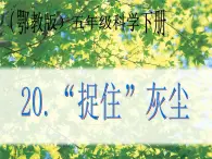 鄂教版小学科学五下《20.“捉住”灰尘》课件