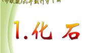 小学科学1.化石课堂教学ppt课件