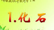 2021学年1.化石备课ppt课件