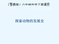 鄂教版小学科学六下《2.探索动物的发展史》课件