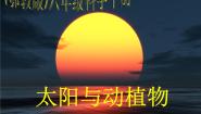 科学六年级下册9.太阳与动植物集体备课ppt课件