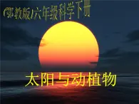 鄂教版小学科学六下《9.太阳与动植物》课件