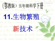 鄂教版小学科学五下《11.生物繁殖新技术》课件