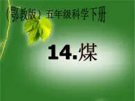 鄂教版小学科学五下《14.煤》课件