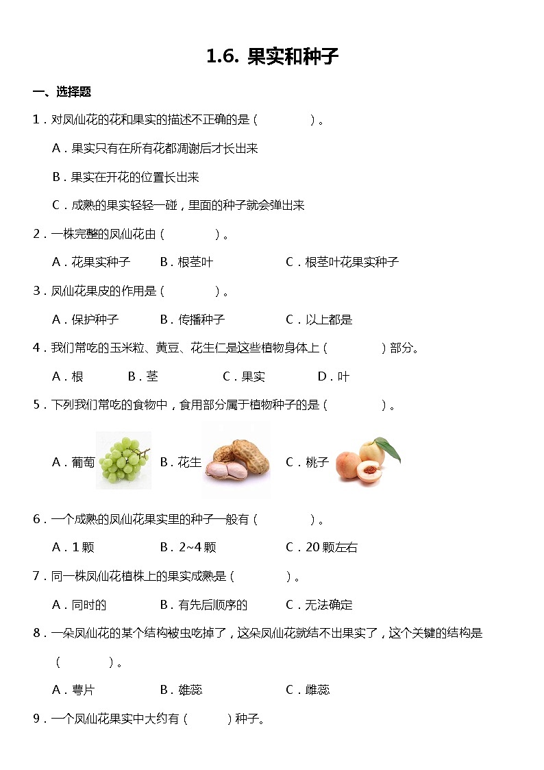 1.6《果实和种子》(同步试题)2021-2022学年科学四年级下册 教科版01