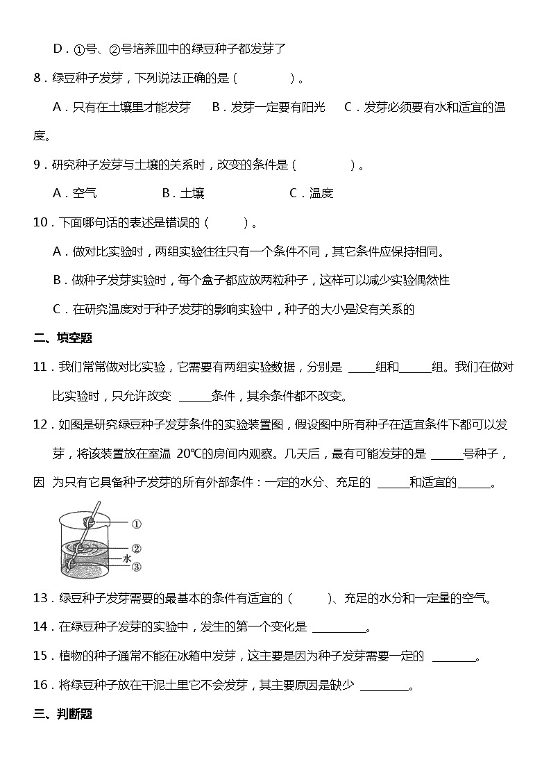 1.2《比较种子发芽实验》(同步试题)2021-2022学年科学五年级下册 教科版02