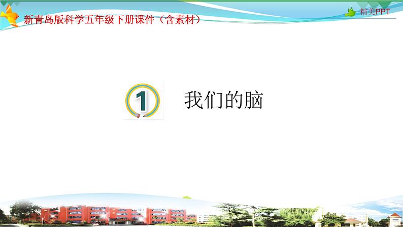 新青岛版科学六三学制 五年级下册课件(含素材)-第1课 我们的脑01