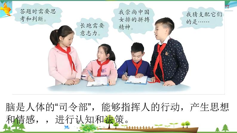 新青岛版科学六三学制 五年级下册课件(含素材)-第1课 我们的脑04