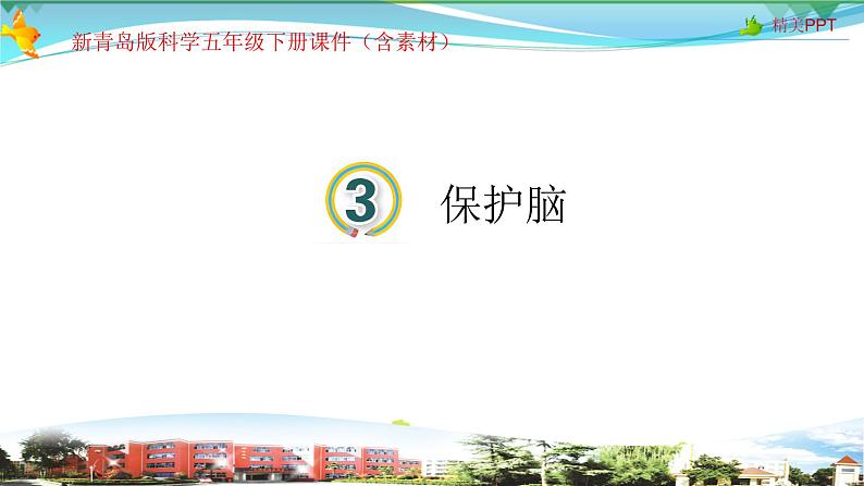 新青岛版科学六三学制 五年级下册课件(含素材)-第3课 保护脑01