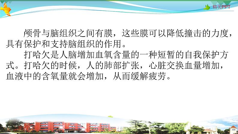 新青岛版科学六三学制 五年级下册课件(含素材)-第3课 保护脑06