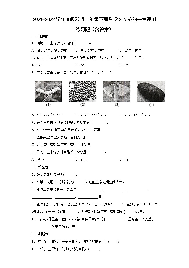 2021-2022学年度教科版三年级下册科学2.6蚕的一生课时练习题(含答案)01