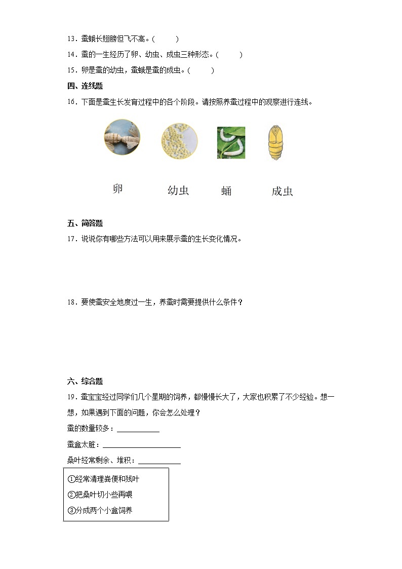 2021-2022学年度教科版三年级下册科学2.6蚕的一生课时练习题(含答案)02