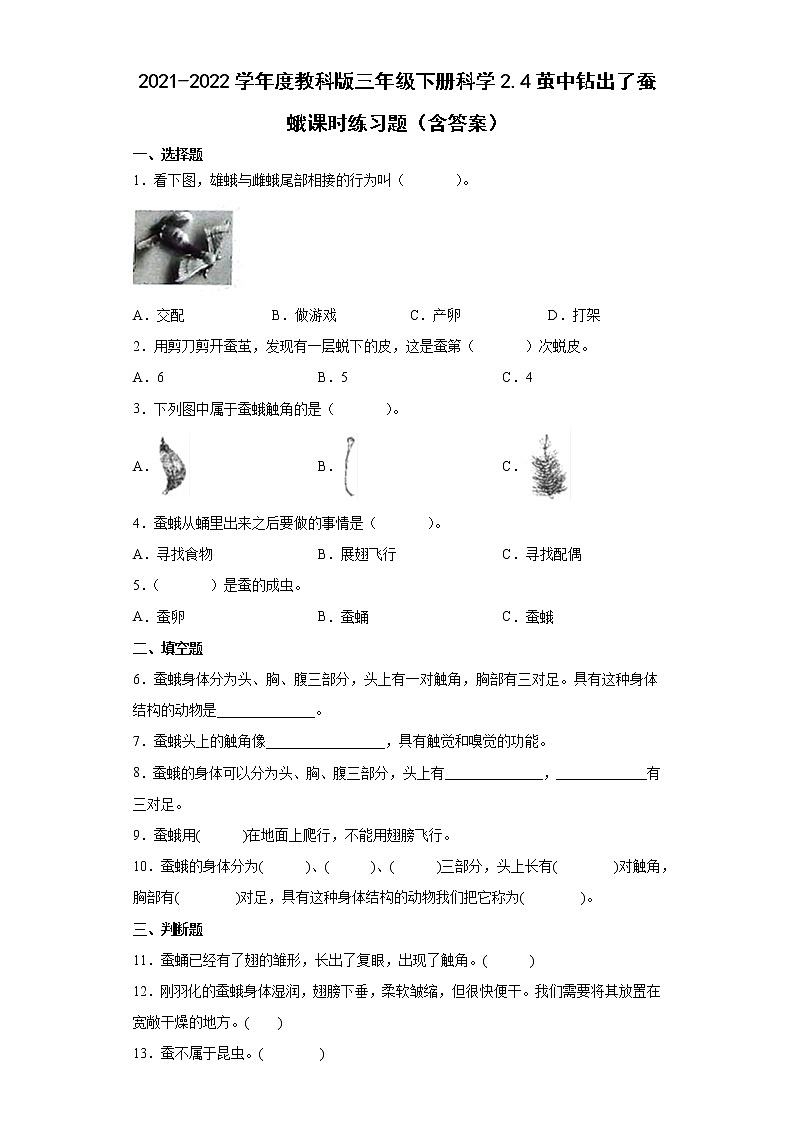 2021-2022学年度教科版三年级下册科学2.5茧中钻出了蚕蛾课时练习题(含答案)01