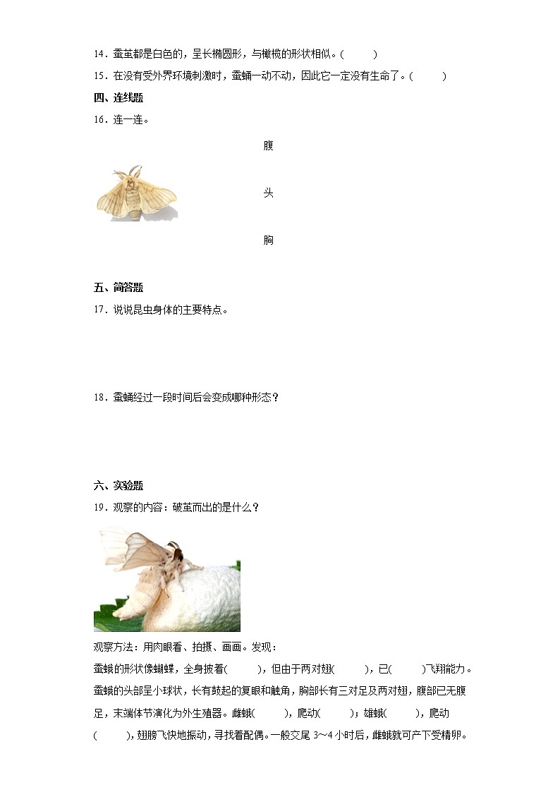2021-2022学年度教科版三年级下册科学2.5茧中钻出了蚕蛾课时练习题(含答案)02