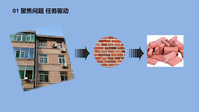 1.1《搭建生命体的“积木”》共2课时 课件(15张PPT+15张PPT)+教案+素材03