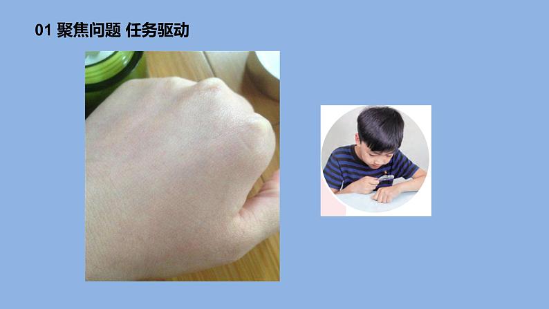 1.1《搭建生命体的“积木”》共2课时 课件(15张PPT+15张PPT)+教案+素材05