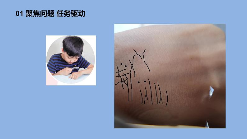 1.1《搭建生命体的“积木”》共2课时 课件(15张PPT+15张PPT)+教案+素材06