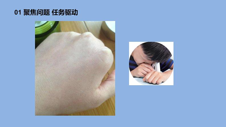 1.1《搭建生命体的“积木”》共2课时 课件(15张PPT+15张PPT)+教案+素材07