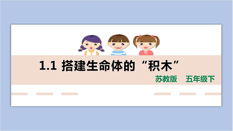 1.1《搭建生命体的“积木”》共2课时 课件(15张PPT+15张PPT)+教案+素材01