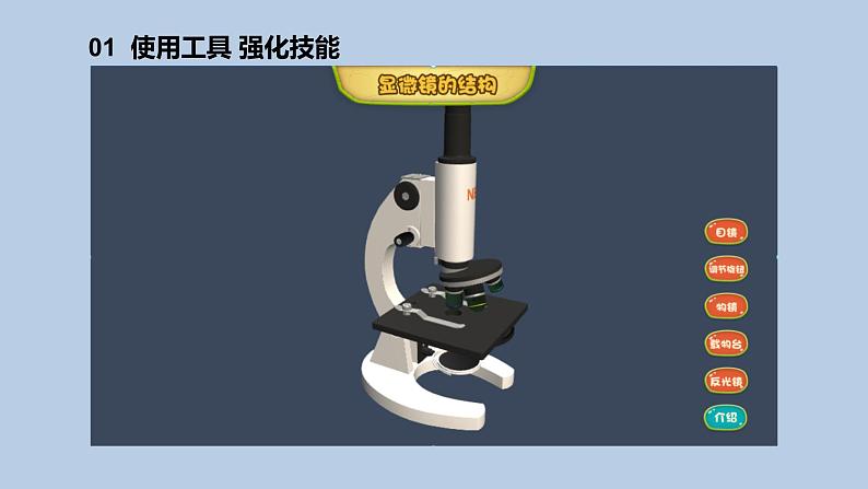 1.1《搭建生命体的“积木”》共2课时 课件(15张PPT+15张PPT)+教案+素材03