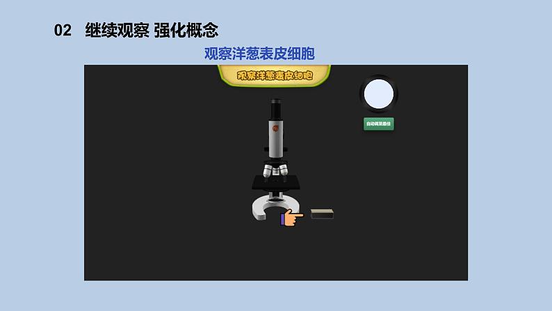 1.1《搭建生命体的“积木”》共2课时 课件(15张PPT+15张PPT)+教案+素材04