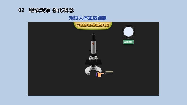 1.1《搭建生命体的“积木”》共2课时 课件(15张PPT+15张PPT)+教案+素材05