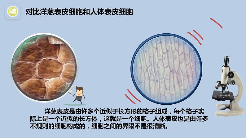 1.1《搭建生命体的“积木”》共2课时 课件(15张PPT+15张PPT)+教案+素材06