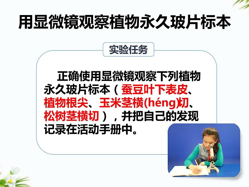 湘科版五年级下册科学1.3 细胞 课件+教案04