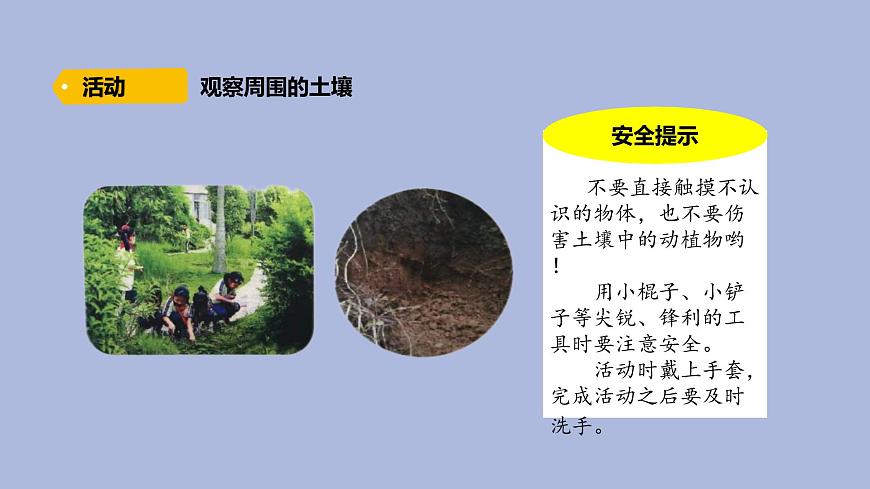 4-1生機勃勃的土壤三年級科學(xué)下冊 大象版課件第4頁