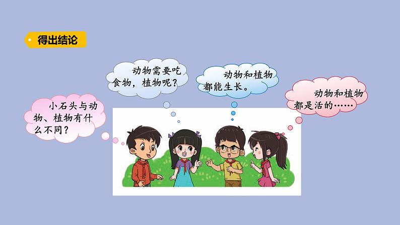 4-1生机勃勃的土壤三年级科学下册 大象版课件第6页