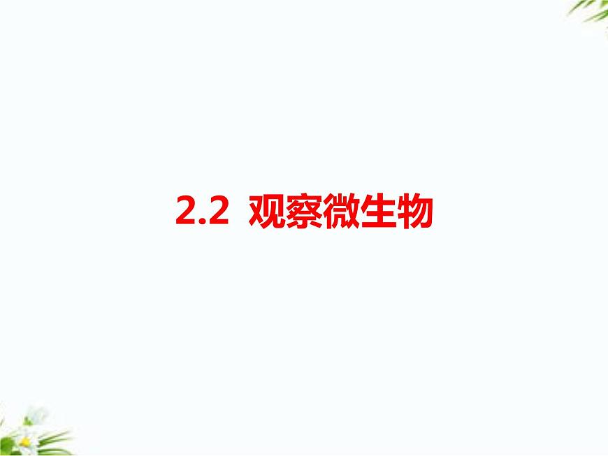 2.2觀察微生物第1頁(yè)