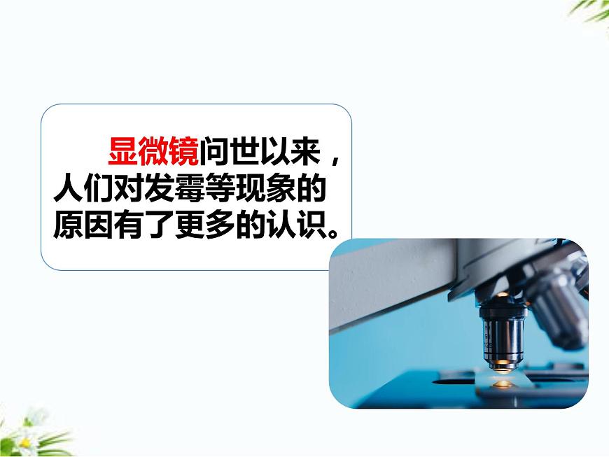 2.2觀察微生物第3頁(yè)