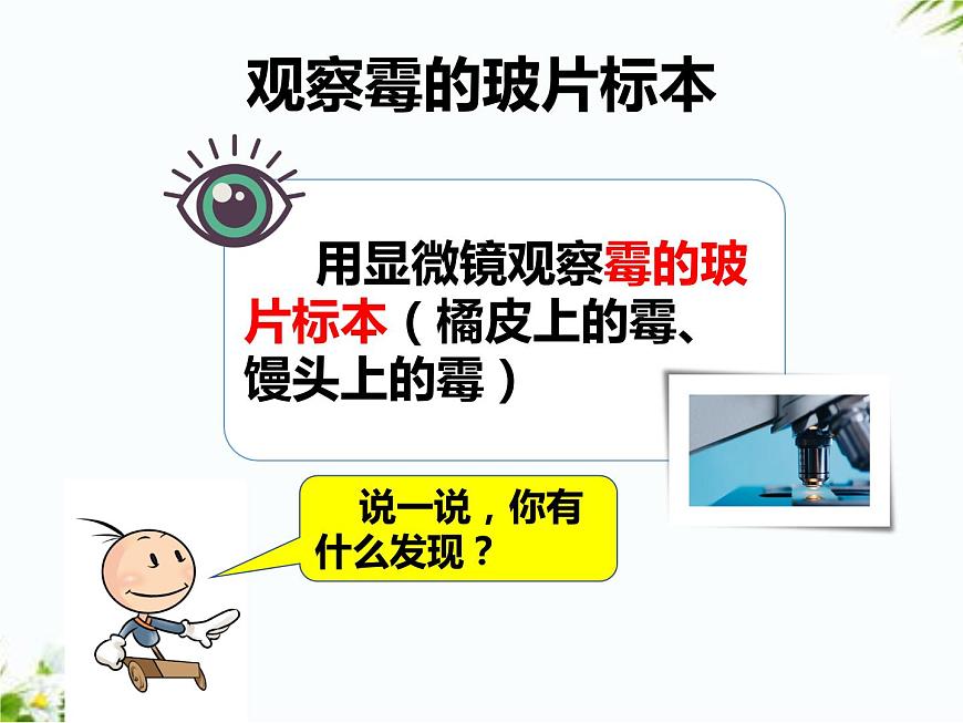 2.2觀察微生物第4頁(yè)