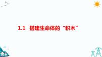 2021学年第一单元 显微镜下的生命世界1 搭建生命体的“积木”习题课件ppt