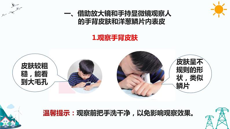 1.1《搭建生命体的“积木”》课件第6页