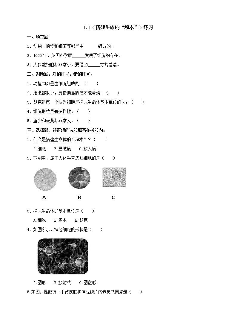 1.1《搭建生命体的“积木”》练习(含答案)第1页
