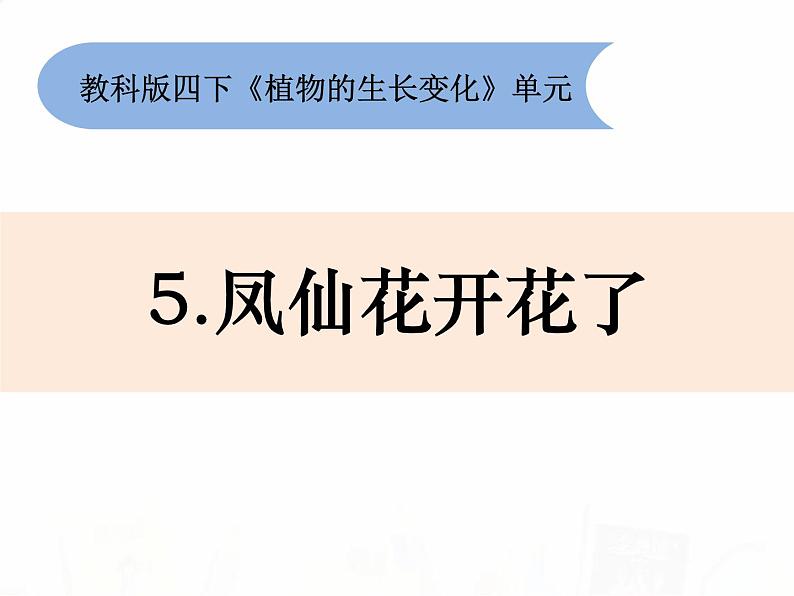 教科版小学科学四下1-5《凤仙花开花了》教学课件第1页