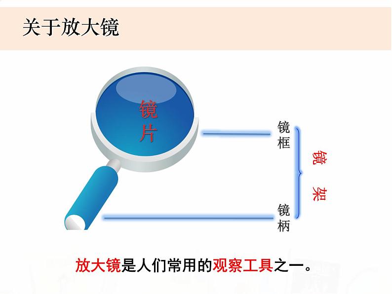 教科版小学科学六下1-1《放大镜》教学课件第2页