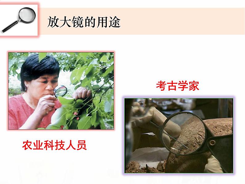 教科版小学科学六下1-1《放大镜》教学课件第4页