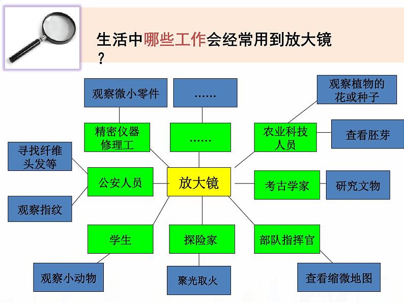 教科版小学科学六下1-1《放大镜》教学课件第7页