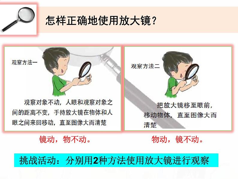 教科版小学科学六下1-1《放大镜》教学课件第8页