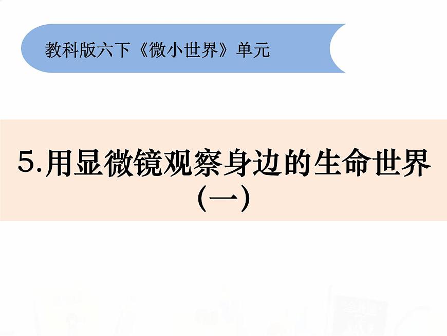 教科版小學(xué)科學(xué)六下1-5《用顯微鏡觀察身邊的生命世界（一）》教學(xué)課件第1頁
